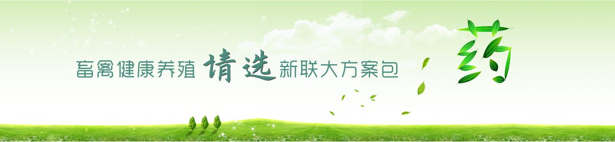 走進(jìn)新聯(lián)大
