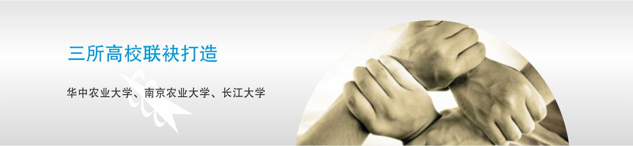 品牌故事